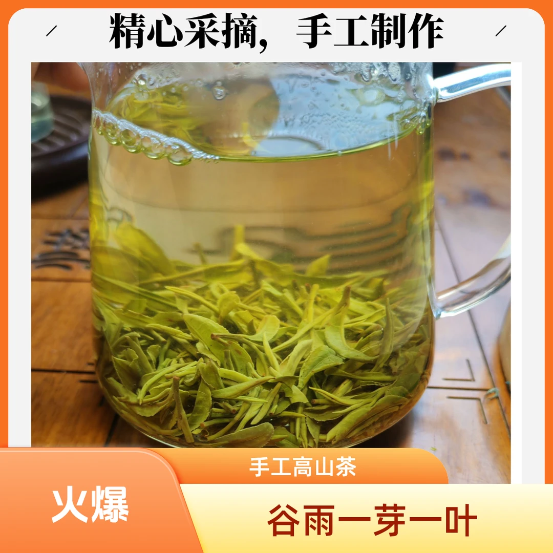 纯手工谷雨前一芽一叶栗香高山绿茶新茶信阳毛尖鲜爽耐泡