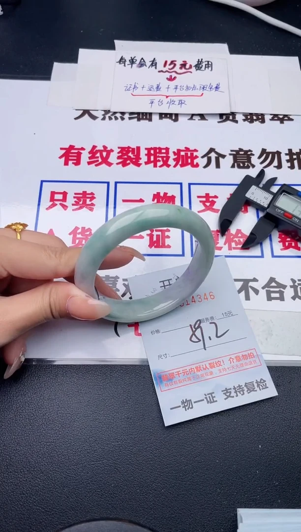 未镶嵌手镯翡翠46
