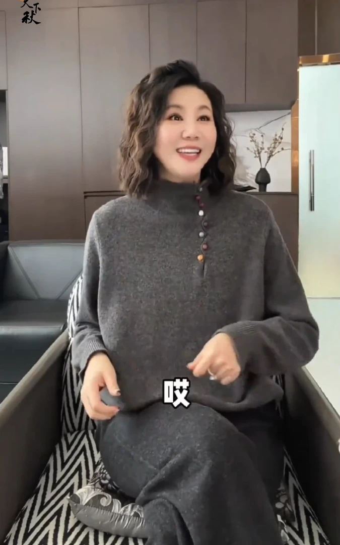 欧货2025秋冬新款洋气减龄撞色彩扣半高领长袖百搭显瘦针织上衣女