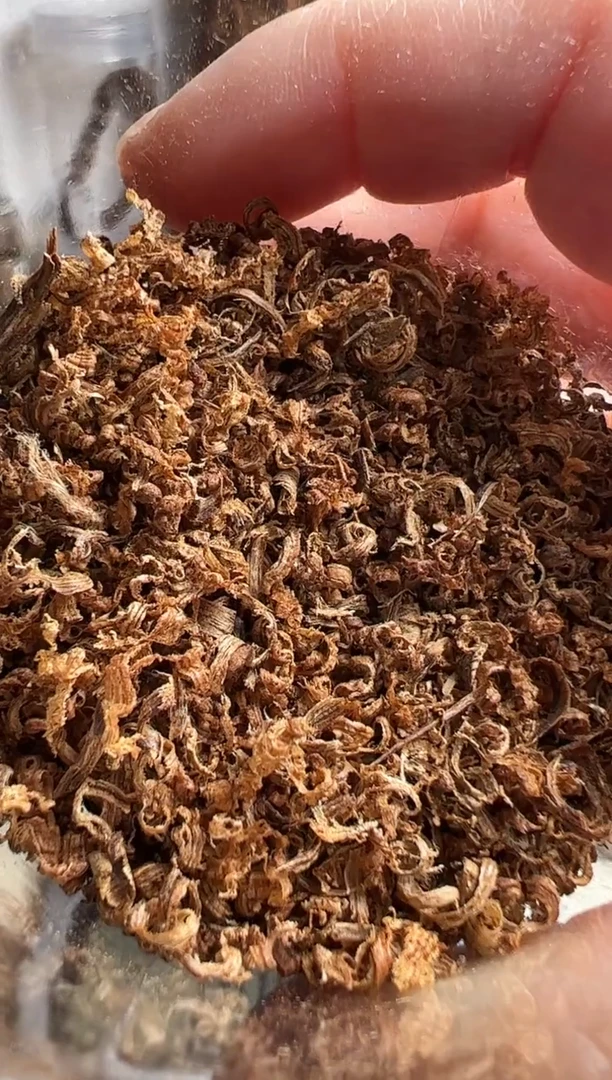 沉香沉香碎屑达拉干沉水勾丝1克多样性