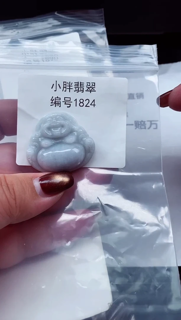 颈饰未镶嵌翡翠缅甸天然A货翡翠1824