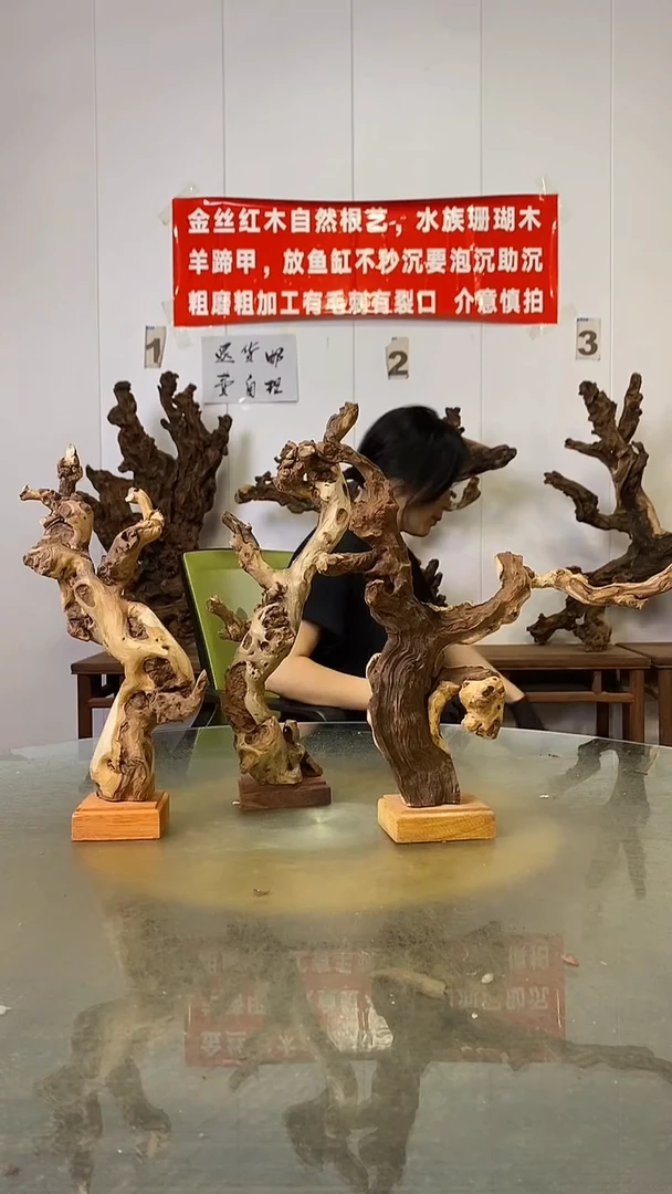 香榧木巴****厅金丝红木   羊蹄甲3