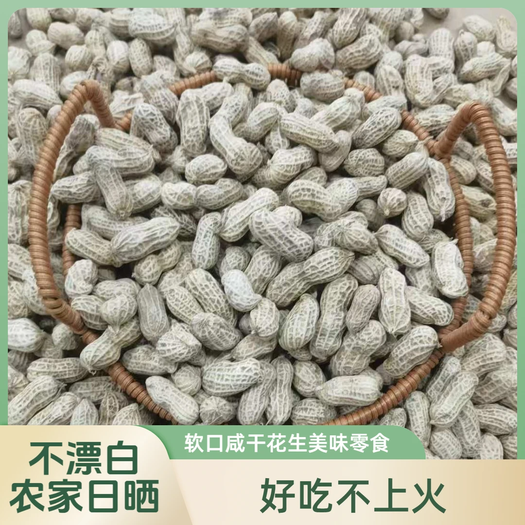 农家水煮白晒带壳花生盐水咸干熟花生不上火零食
