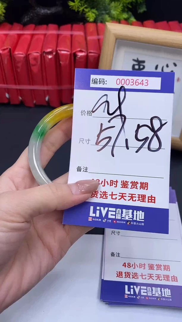 未镶嵌手镯翡翠0003643