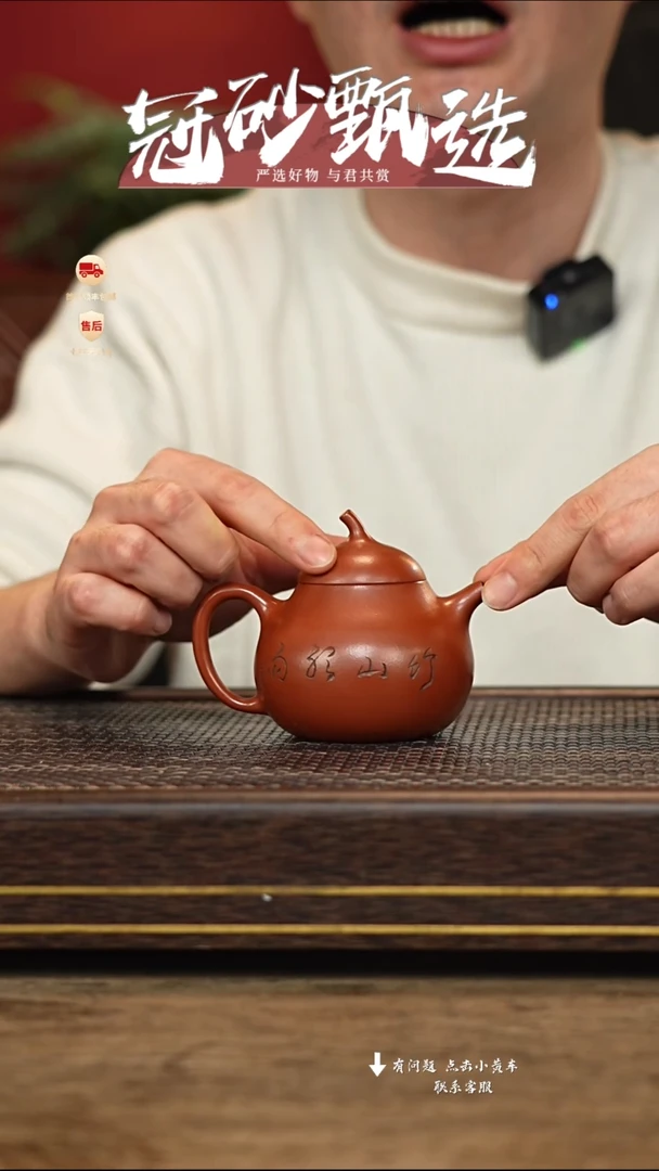 【闪购商品】紫砂茶壶冠砂甄选13
