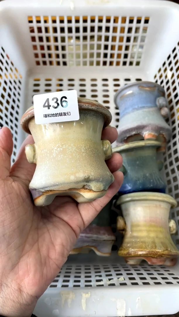 【闪购商品】陶436