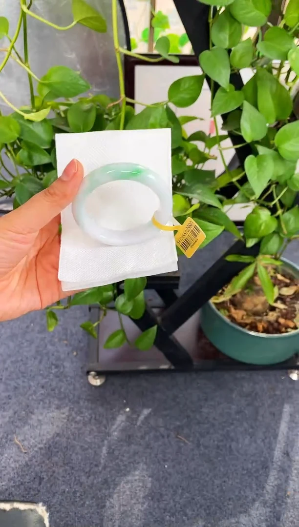 未镶嵌手镯翡翠117-54.6