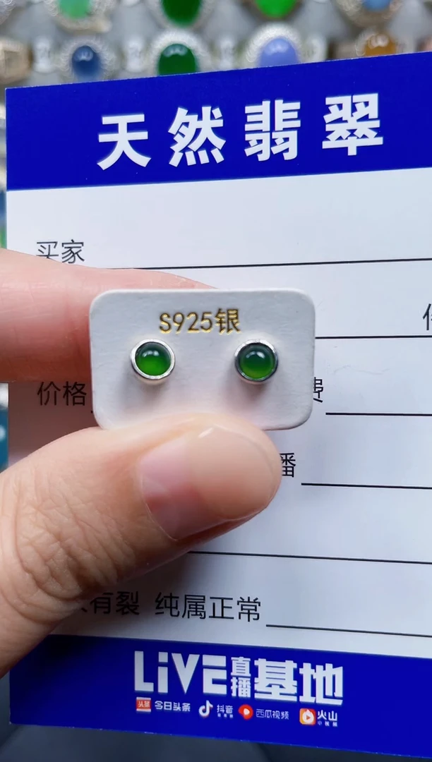 银S925镶嵌翡翠耳饰100