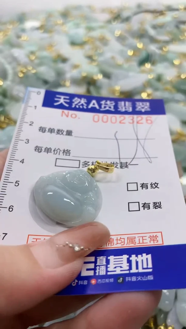 颈饰未镶嵌翡翠天然A货翡翠