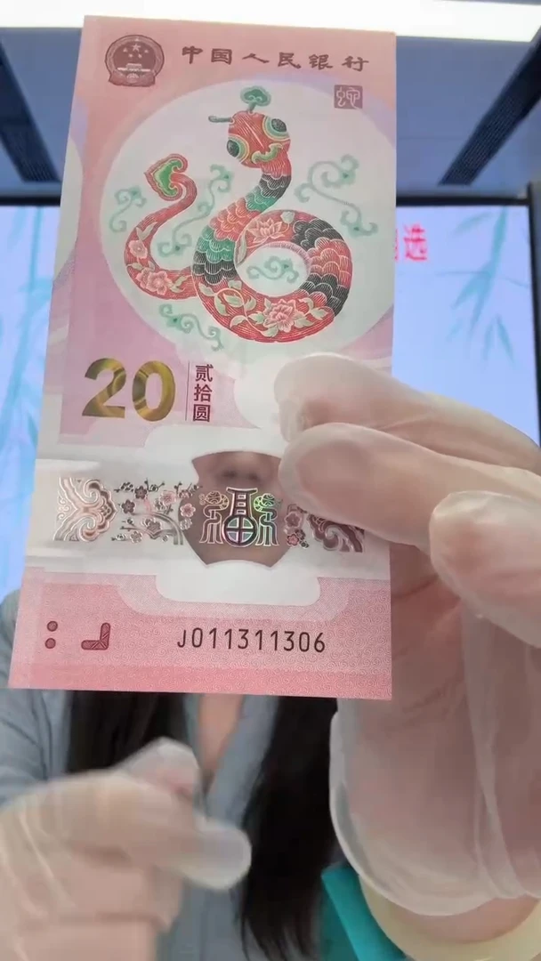 塑料蛇钞011311306
