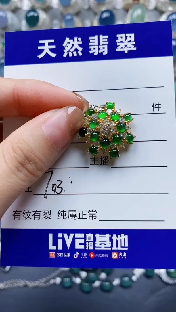 翡翠银S925镶嵌颈饰0703