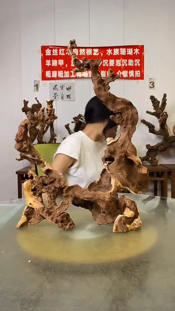 香榧木名****）金丝红木   羊蹄甲