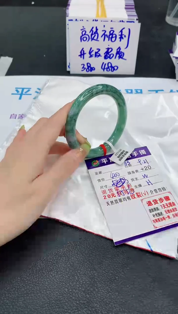 未镶嵌手镯翡翠1