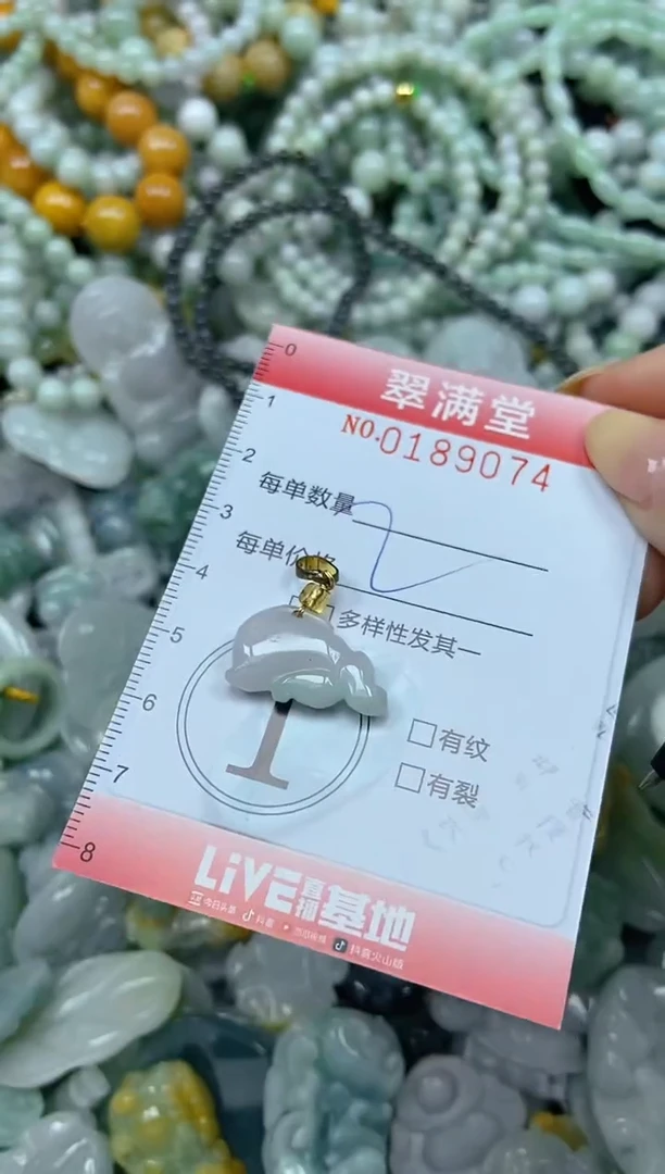 颈饰未镶嵌翡翠闪购0189074