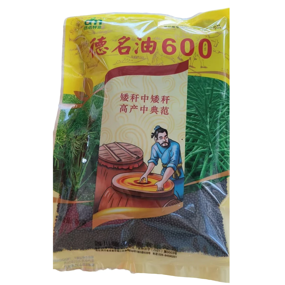 矮杆高产油菜种子耐寒抗倒伏抗病强