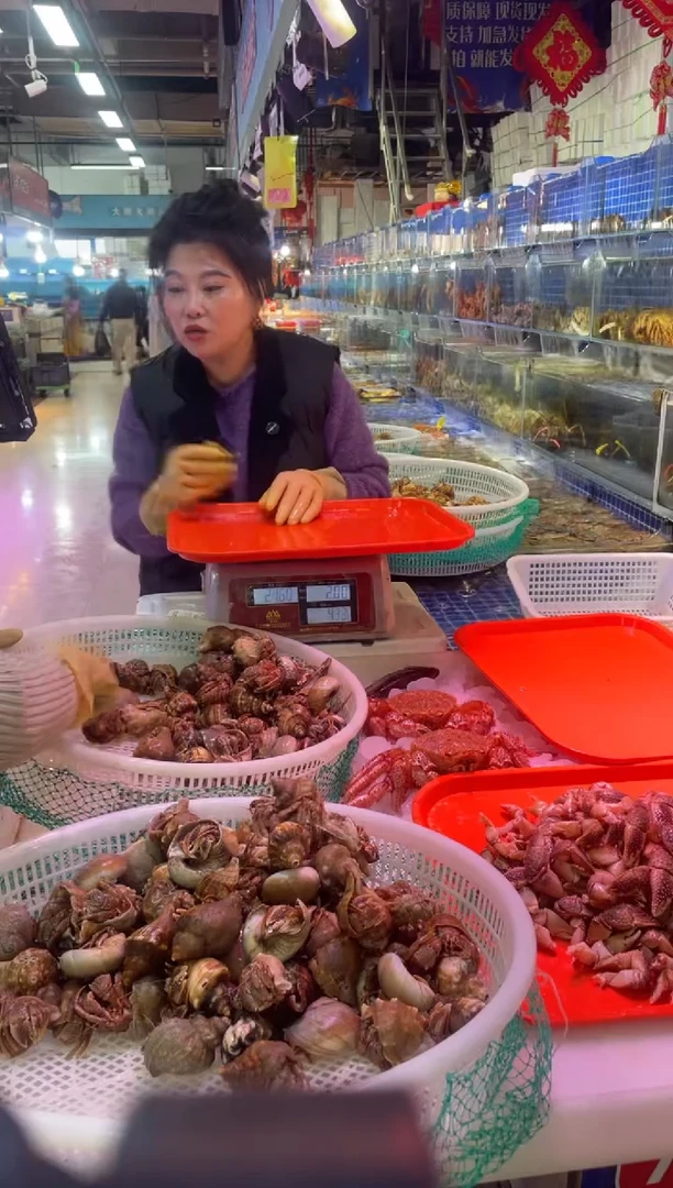 中国大陆断氧母飞一称，11只