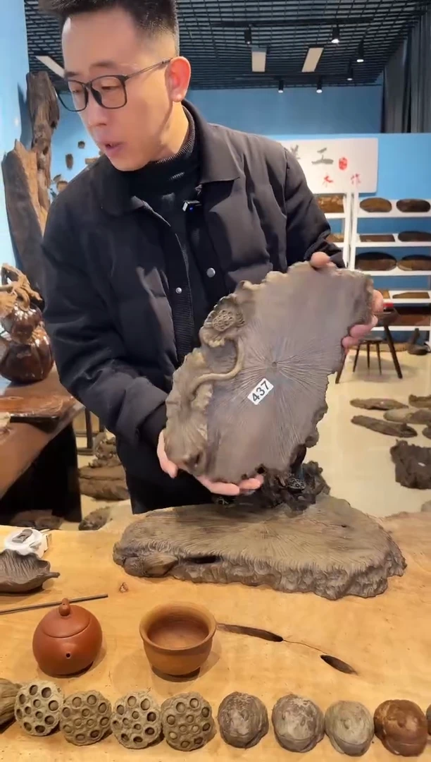 木437号乌木金丝楠干泡