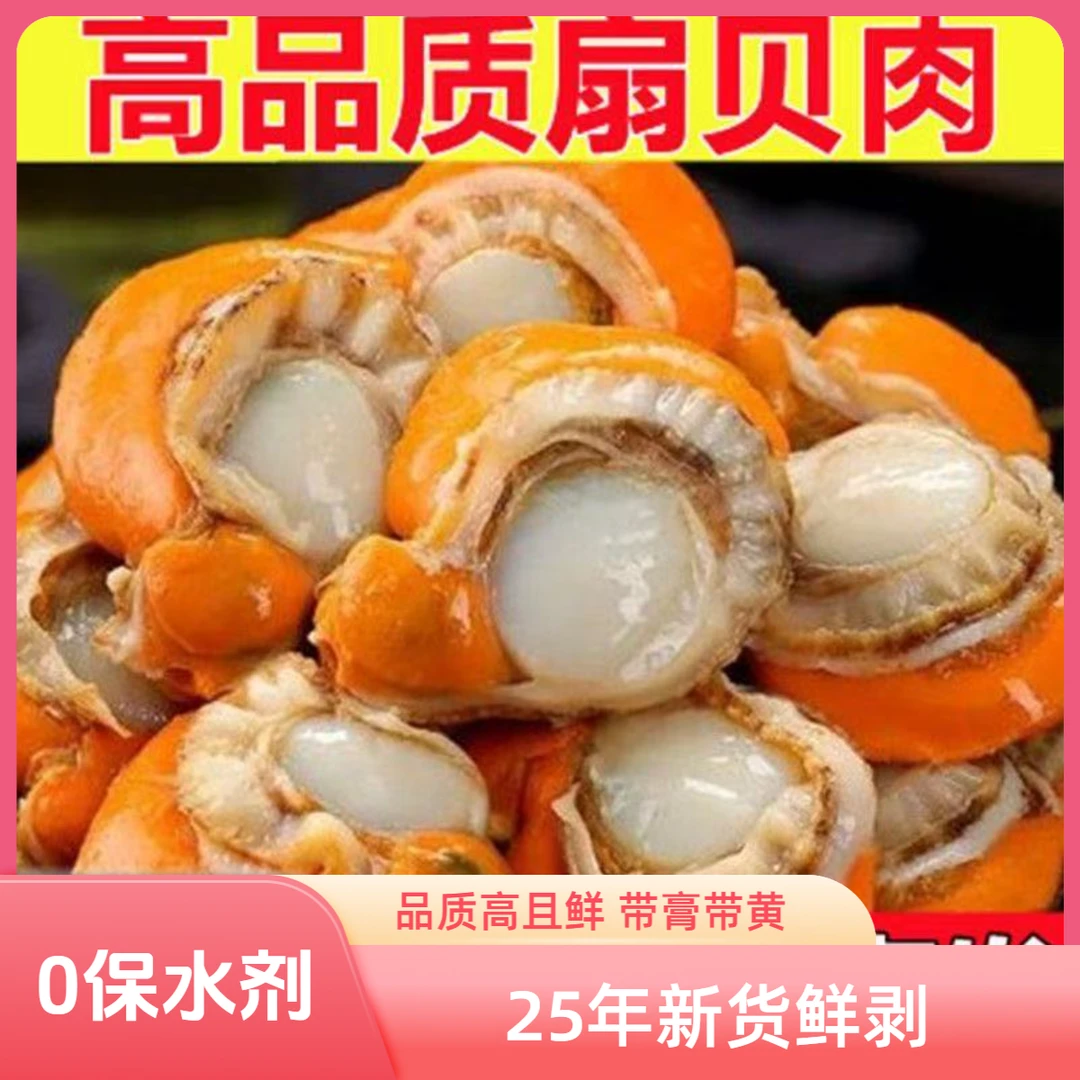 新鲜大号高品质扇贝肉鲜剥野生整箱5斤扇贝肉正宗扇贝肉冰衣保鲜