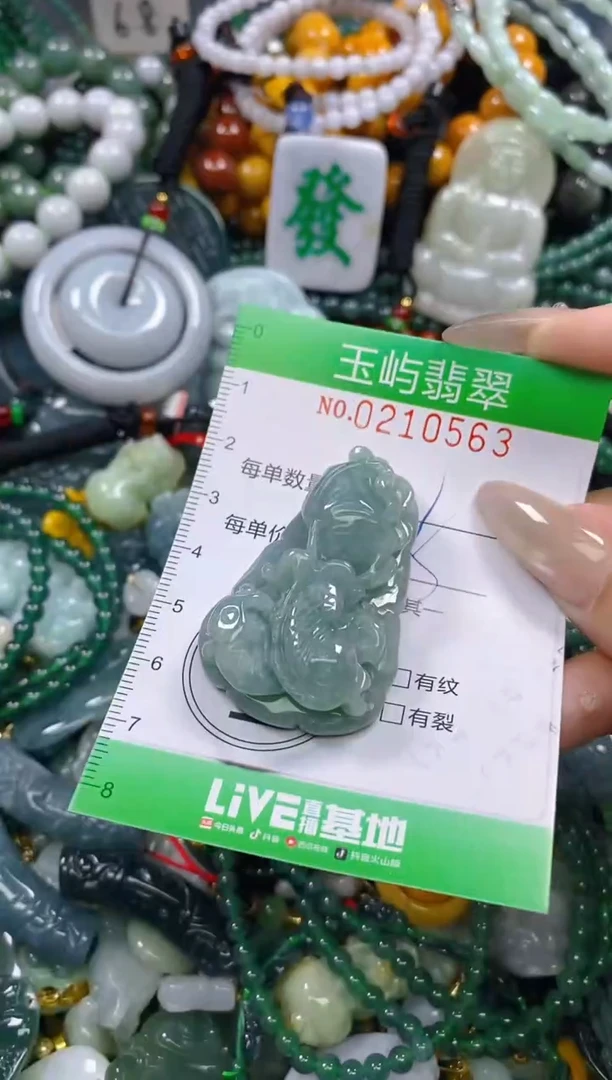 颈饰未镶嵌翡翠闪购0210563