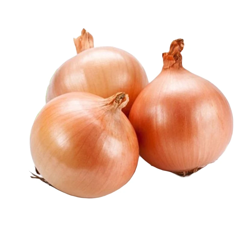 新黄洋葱黄圆葱0.9-1.2斤洋葱同城送