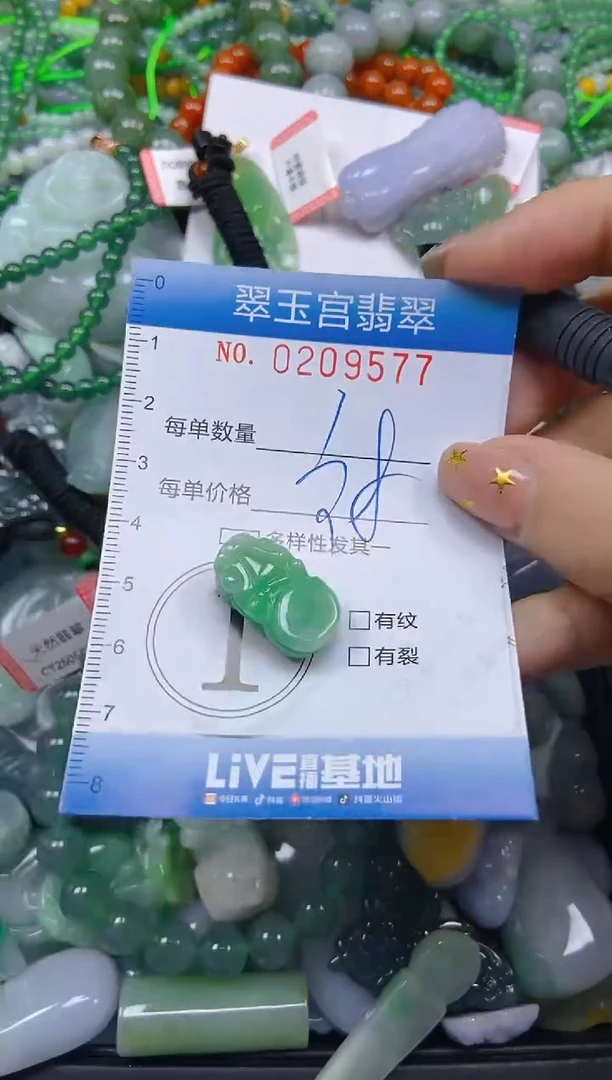 颈饰未镶嵌翡翠闪购C0209577