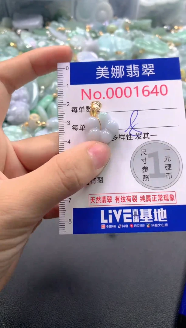 颈饰未镶嵌翡翠1640