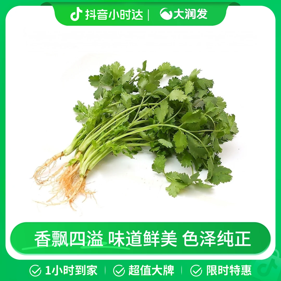 【高山】香菜100g/份