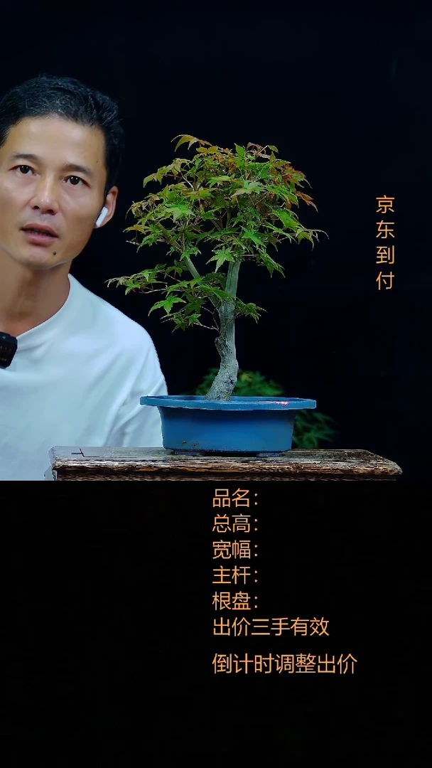 无花朵一**尘00000000