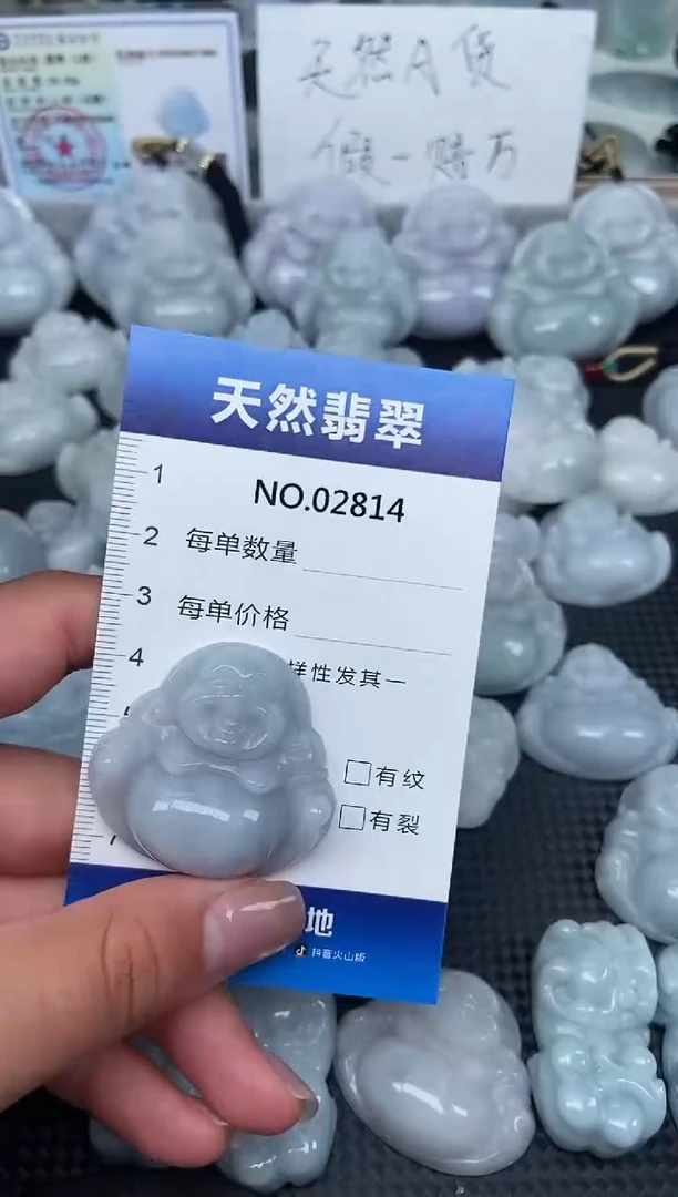 颈饰未镶嵌翡翠纯天然A货翡翠2814
