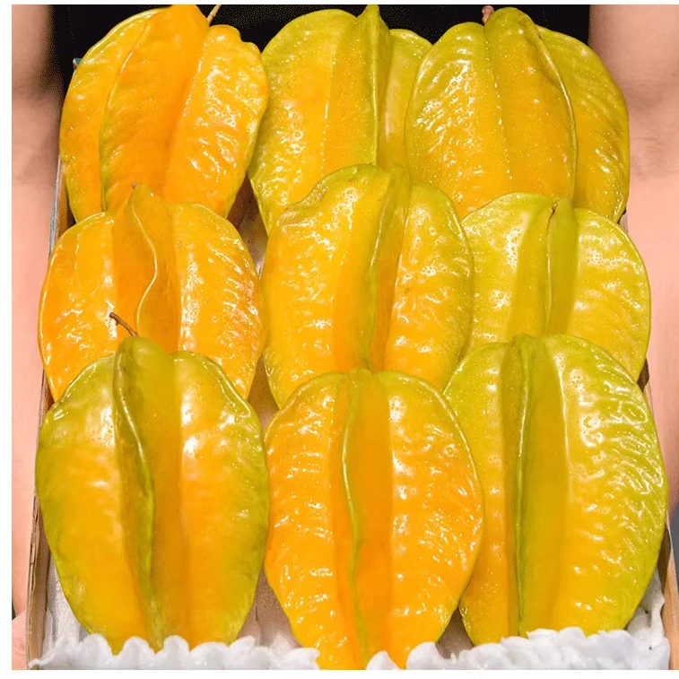 【顺丰/京东】下河杨桃清甜爆汁低糖高维C福建新鲜树上熟现摘现发