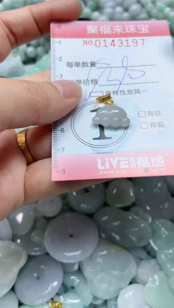【闪购商品】翡翠未镶嵌颈饰闪购0143197多样性发其一