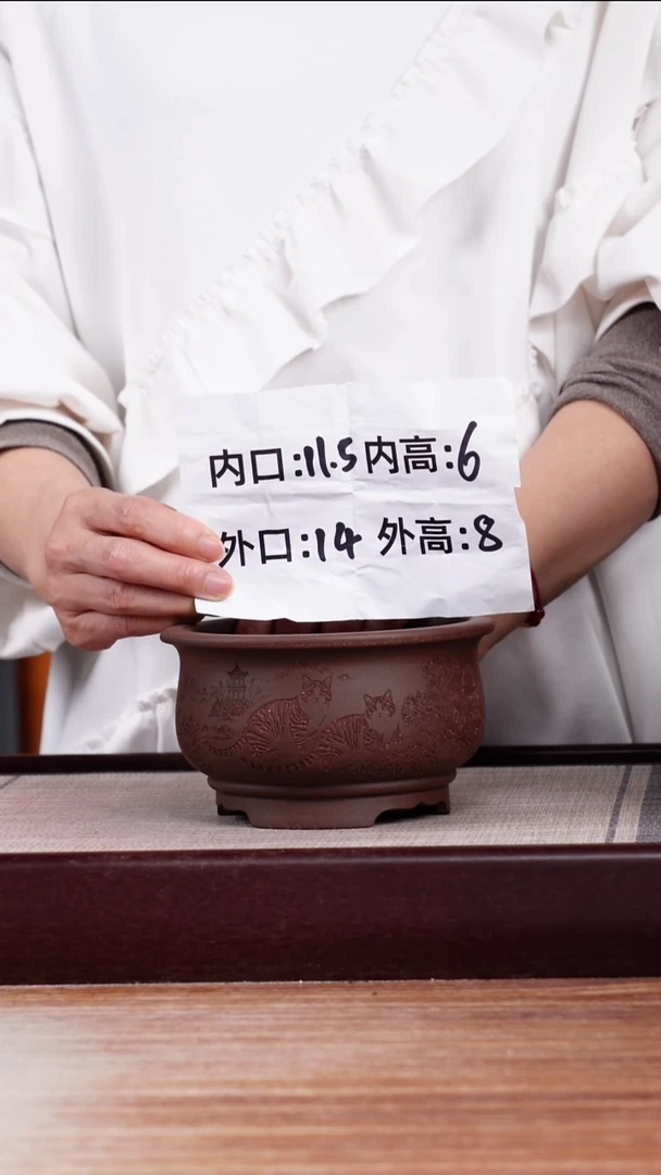 紫砂花盆紫泥刻绘猫咪迷你矮圆盆一只无托