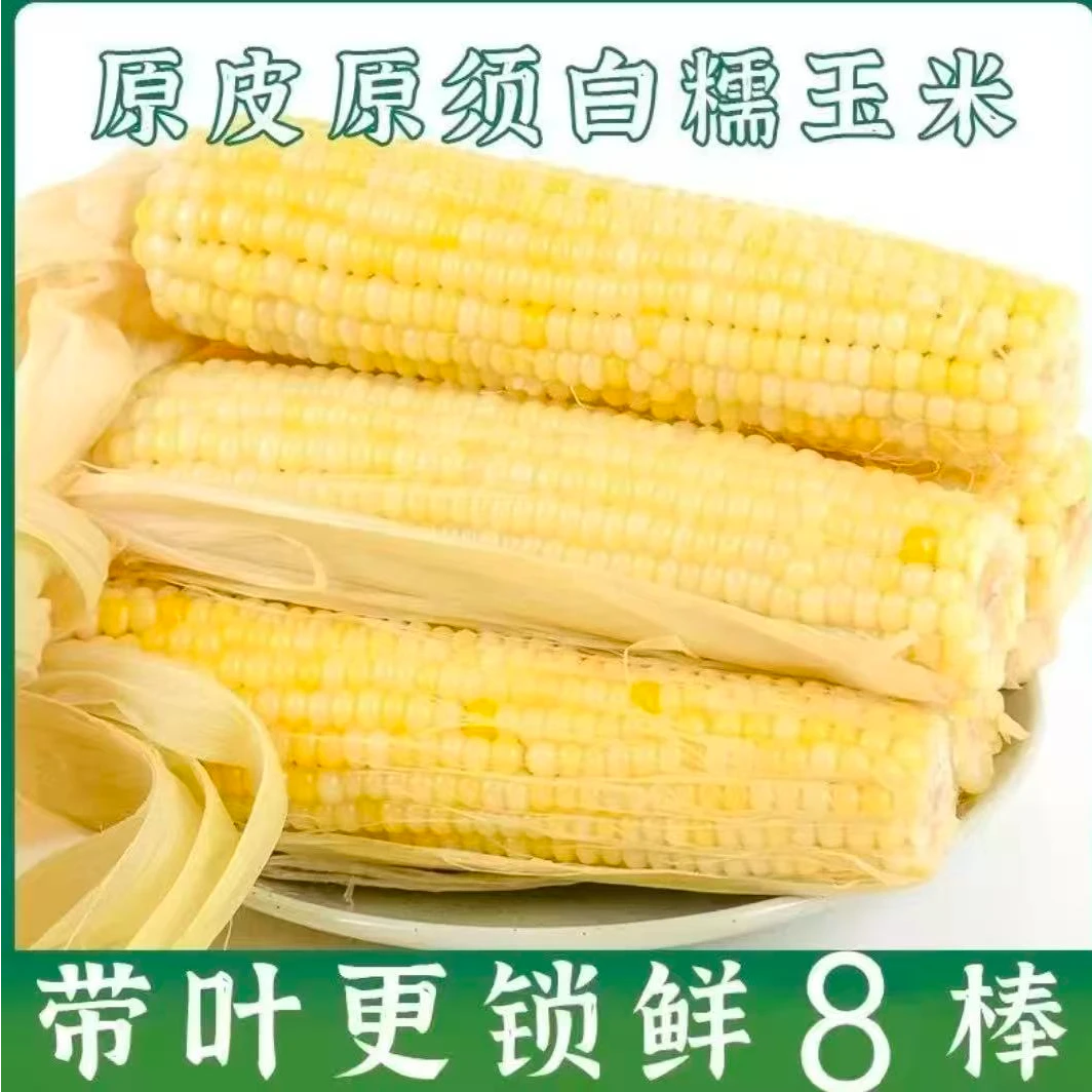 速冻白甜糯玉米带皮锁鲜（东北老乡家菜园种植，无农药无化肥）