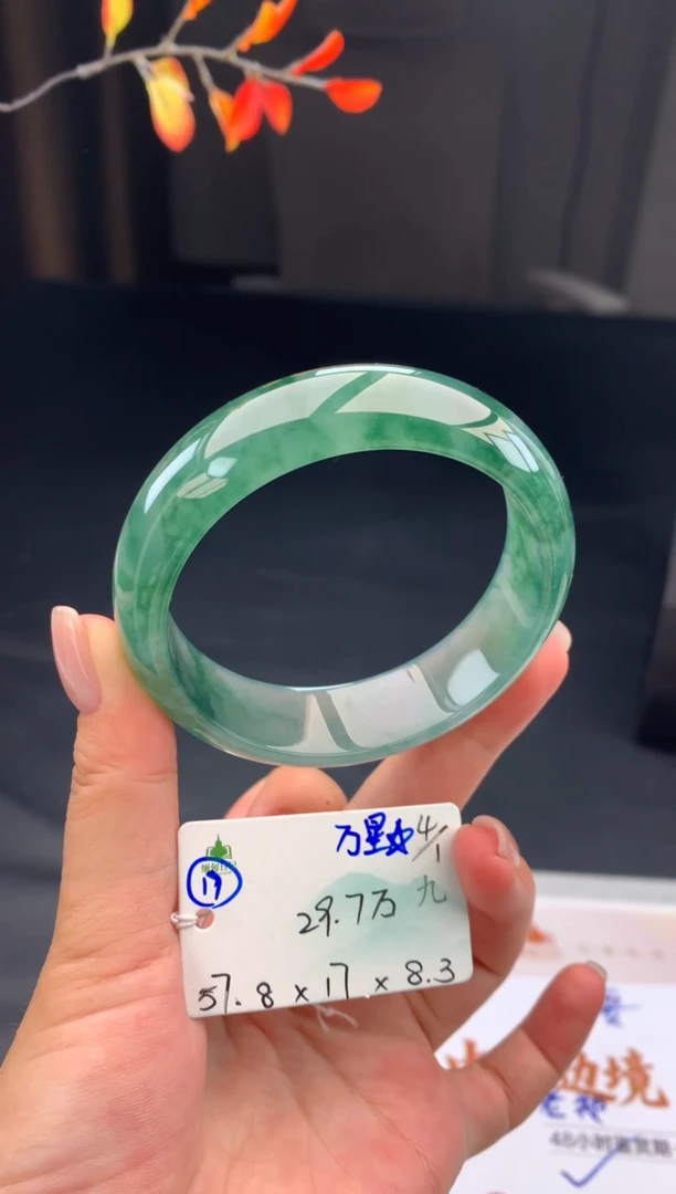 未镶嵌手镯翡翠翡翠自带#送人#，假一赔三