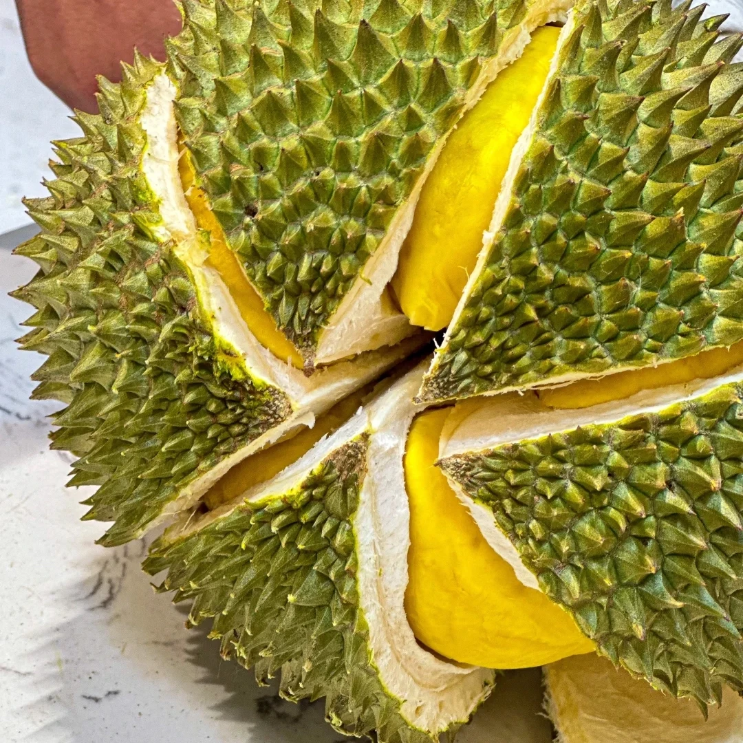 长柄 | 一物一拍 | 金枕泰国榴莲正宗树熟【顺丰包邮】