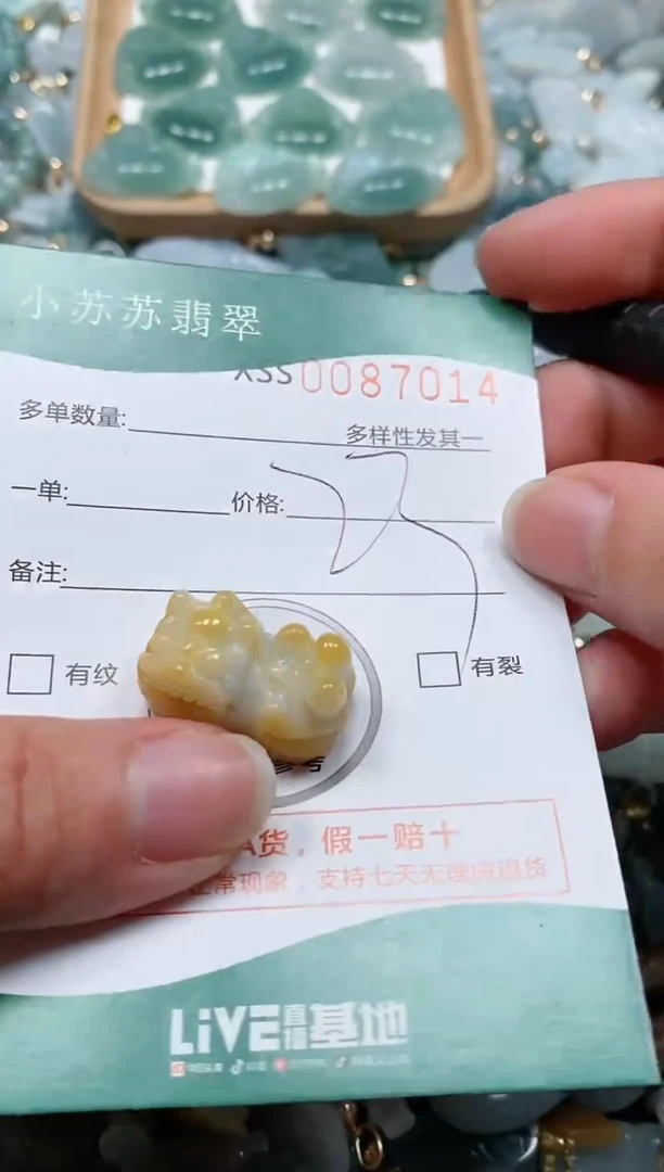 【闪购商品】翡翠颈饰未镶嵌闪购商品0087014