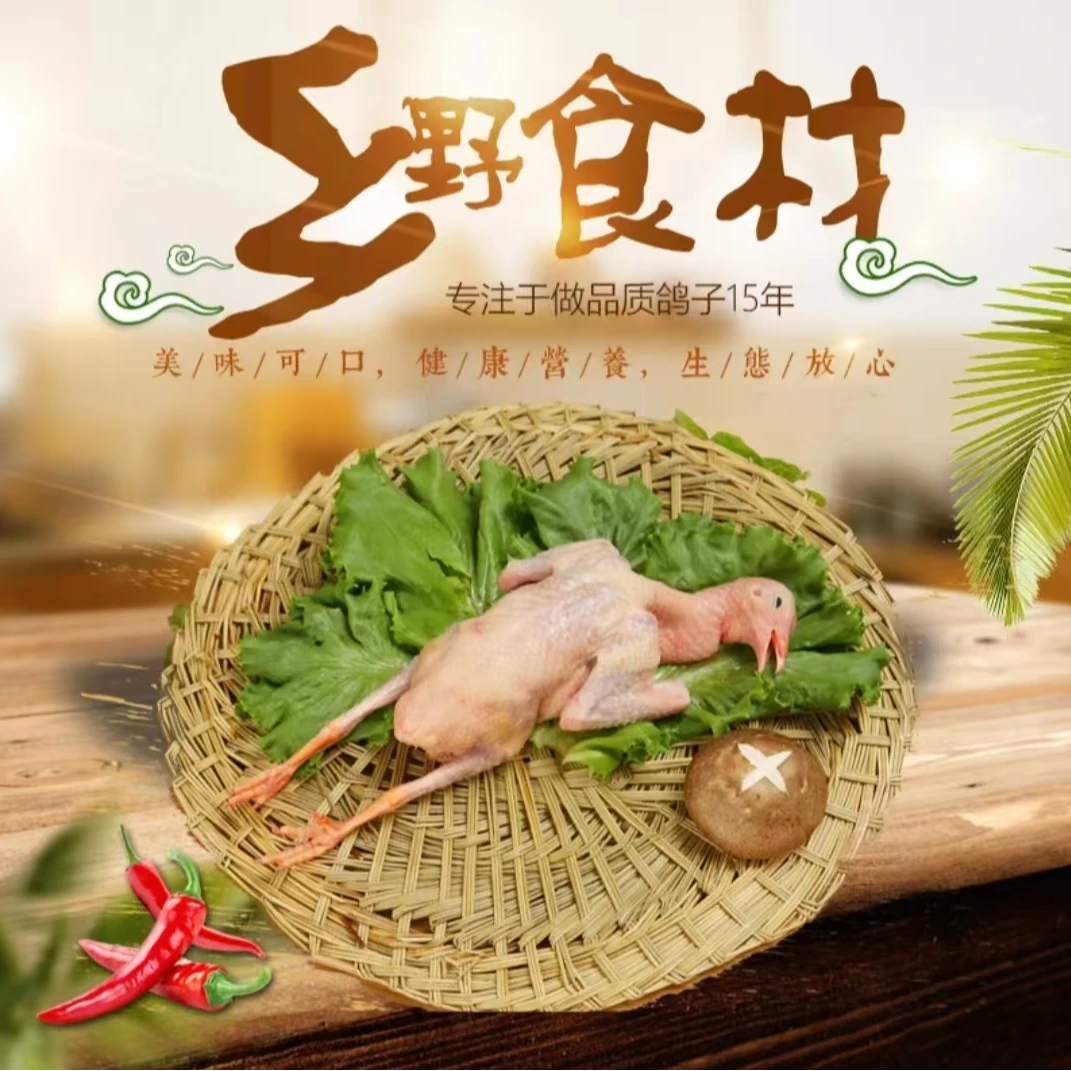 农家全料散养土鸽子 人工现杀 新鲜土乳鸽 顺丰包邮 5-6两/只