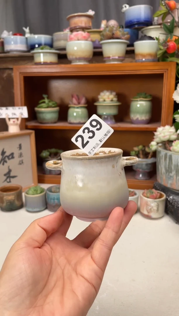 瓷片239知木小芳花盆直播编号