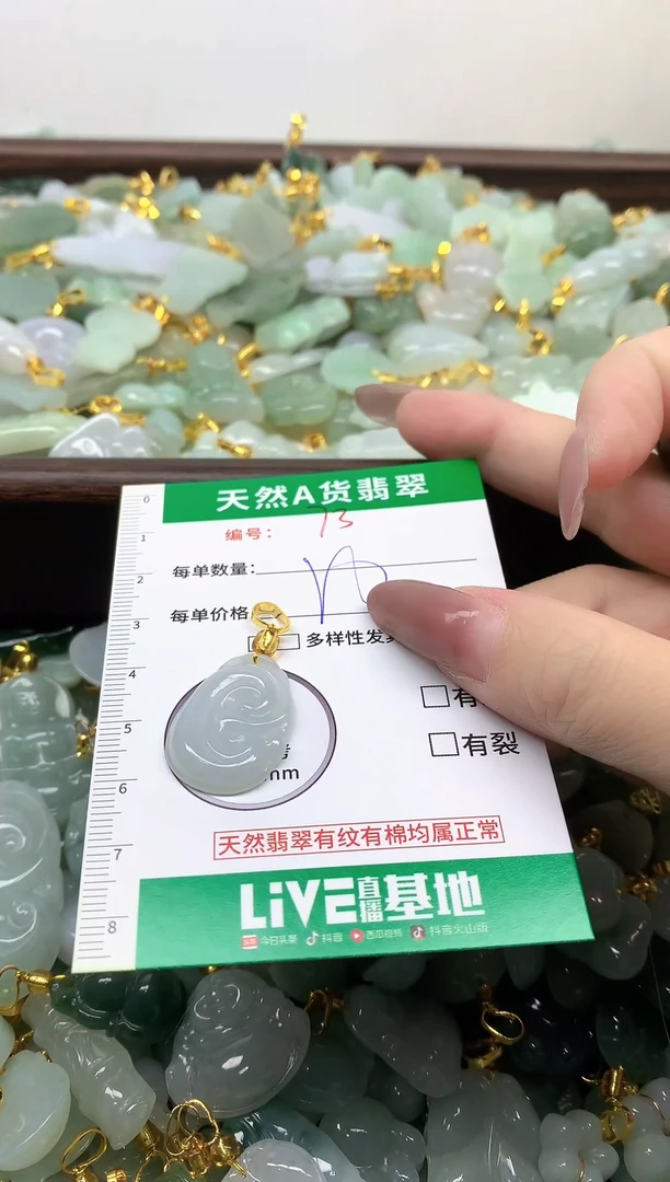 颈饰未镶嵌翡翠纯天然缅甸A货翡翠-73