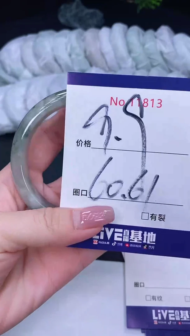 未镶嵌手镯翡翠11813