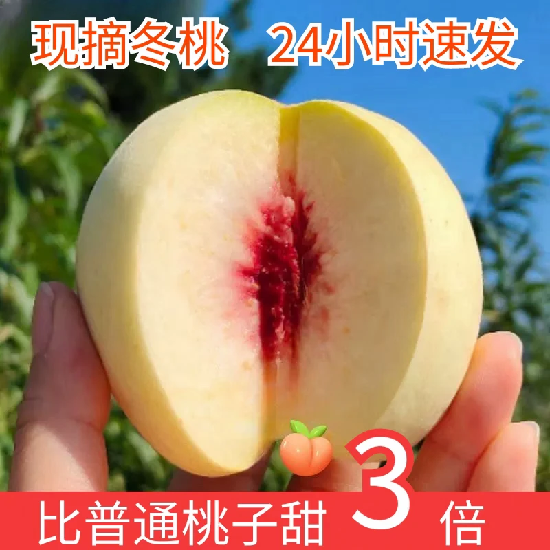 宿州现摘冬桃脆甜白桃蜜桃纯甜应季水果新鲜桃子丑桃雪桃映霜红
