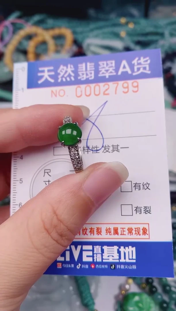 颈饰未镶嵌翡翠00002799