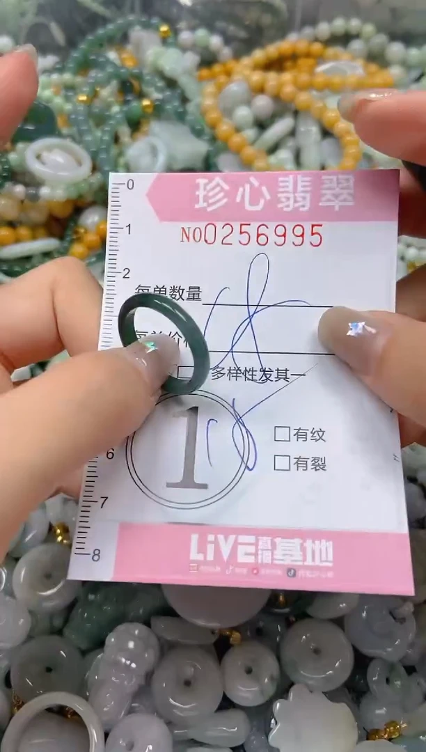 翡翠未镶嵌颈饰闪购0256995