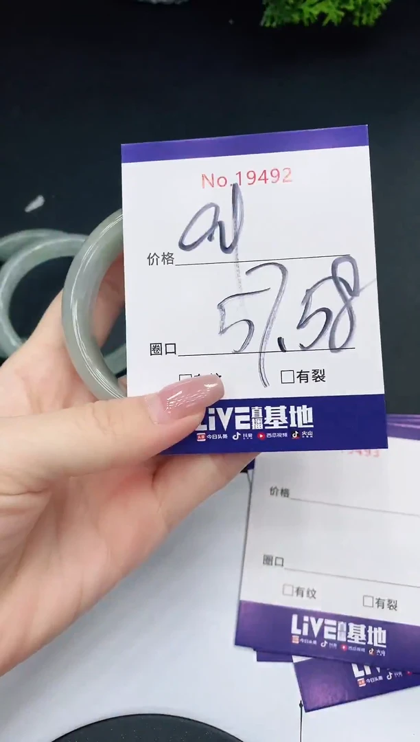 未镶嵌手镯翡翠19492