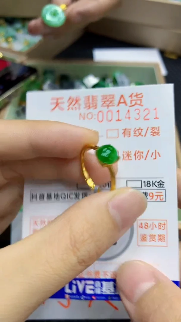 翡翠未镶嵌颈饰             1