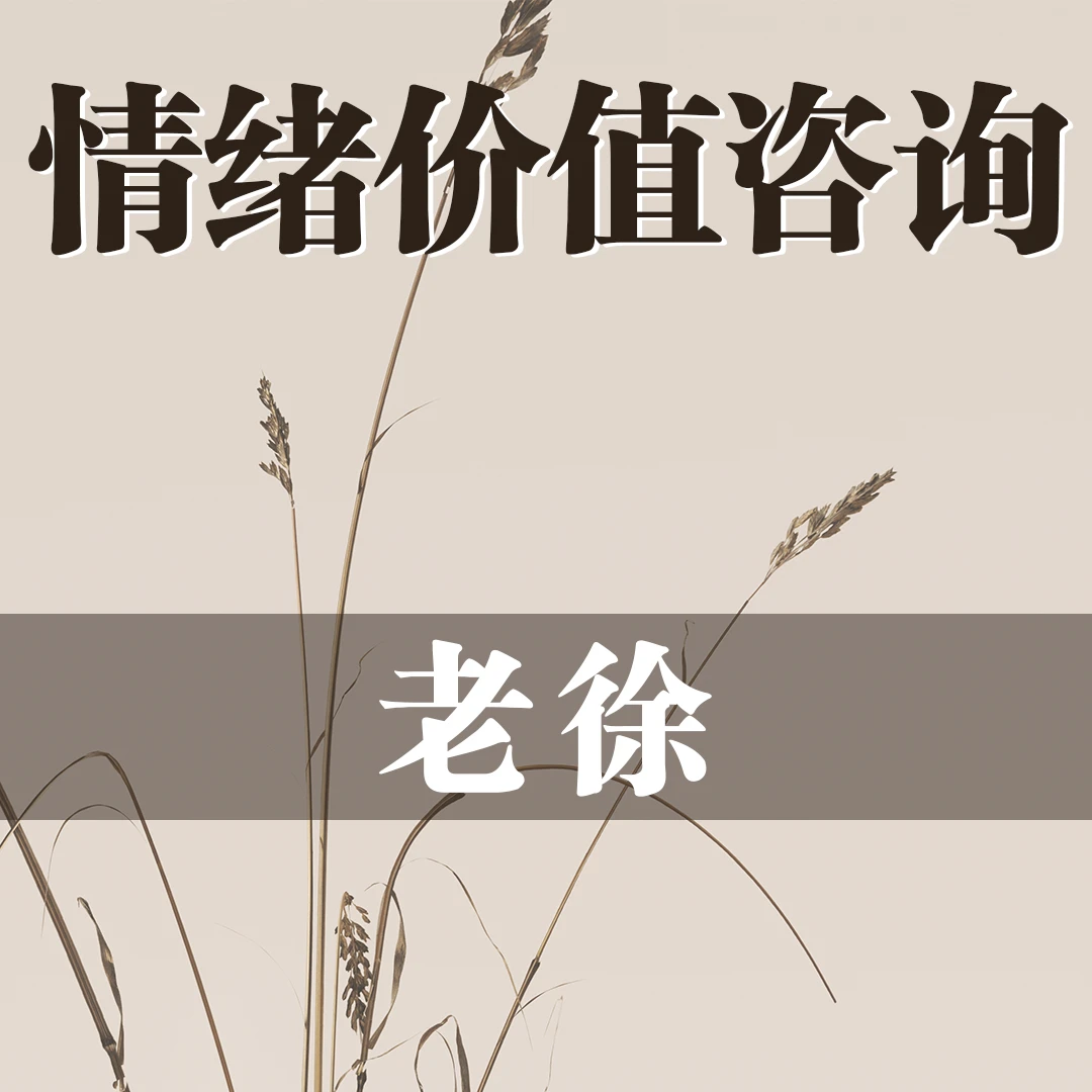 情绪价值咨询（老徐）读书卡-bo