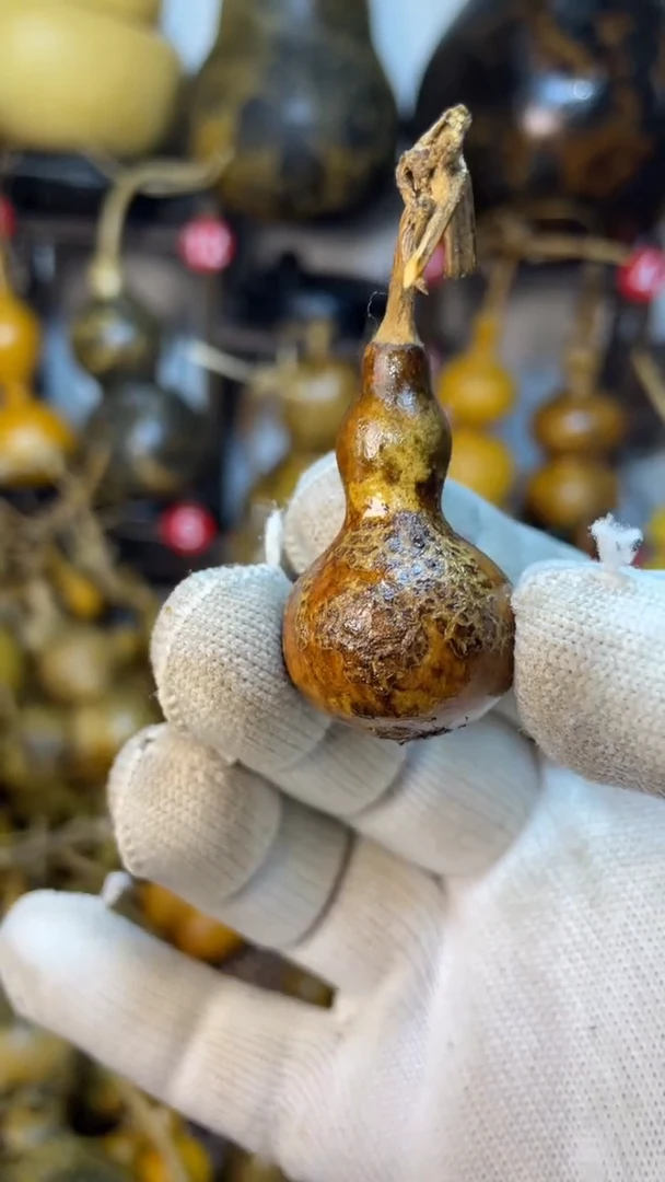 【闪购商品】葫芦葫芦葫芦葫芦