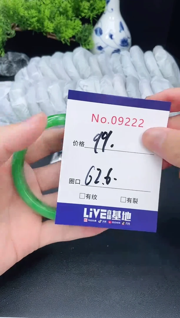 未镶嵌手镯翡翠9222