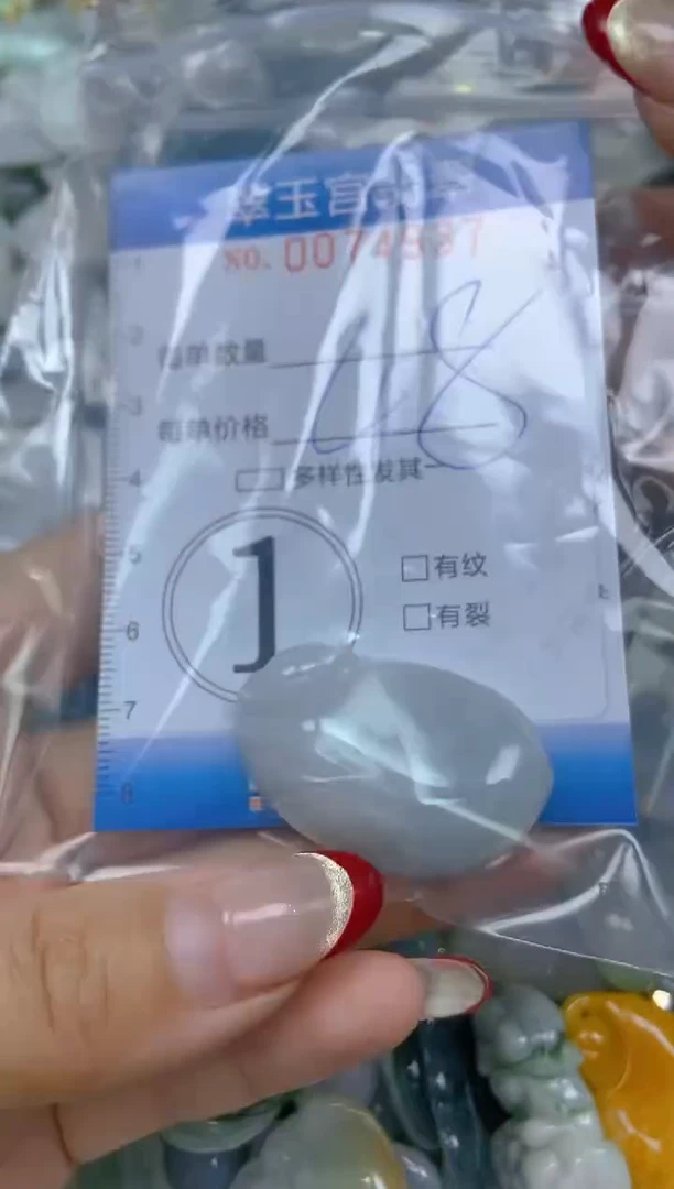 【闪购商品】翡翠颈饰未镶嵌闪购0074937