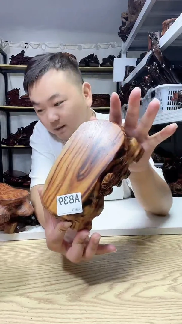 木曹*柏839------------